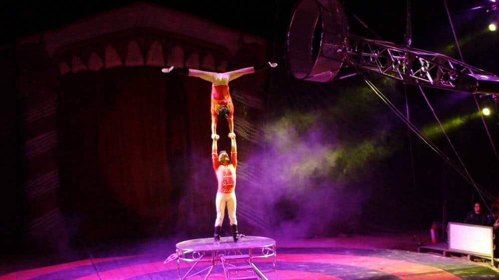 5 razones para ir al Circo del Miedo